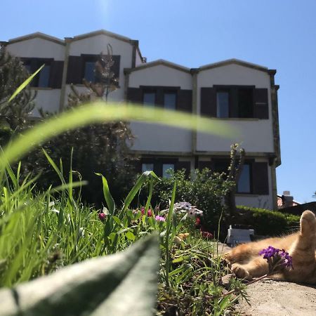 Apollon Hotel Tenedos Buitenkant foto