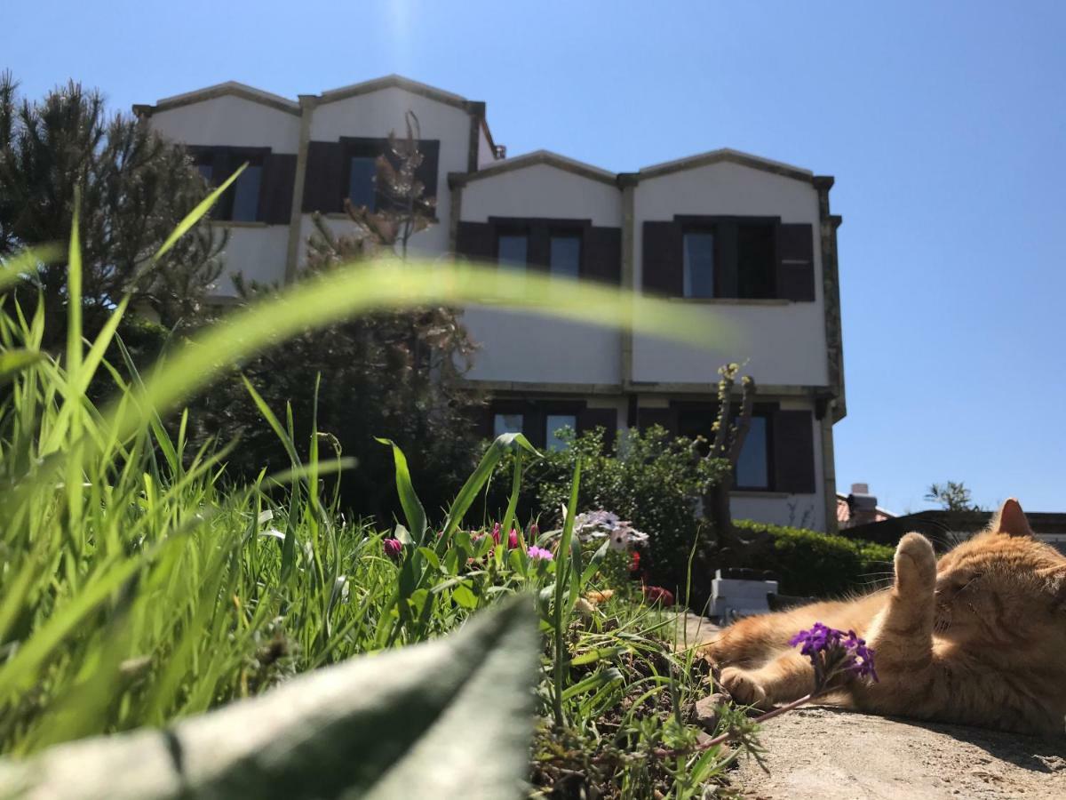 Apollon Hotel Tenedos Buitenkant foto